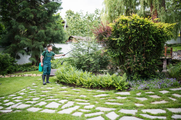 Best Pest Removal Services  in Grants Pass, OR
